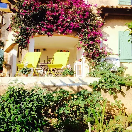 Lou Gecko Holiday home *